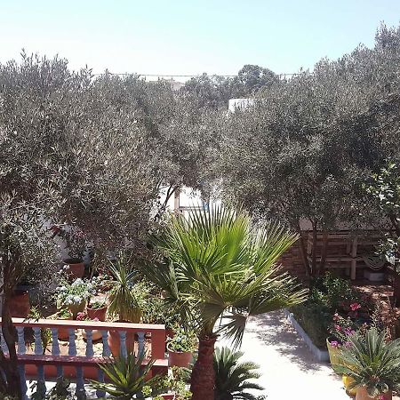 Dar Ezzitouna 沃利迪耶 外观 照片