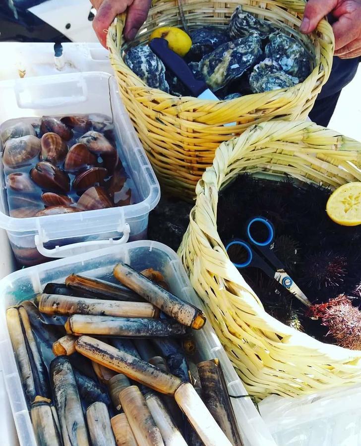 Dar Ezzitouna 沃利迪耶 外观 照片